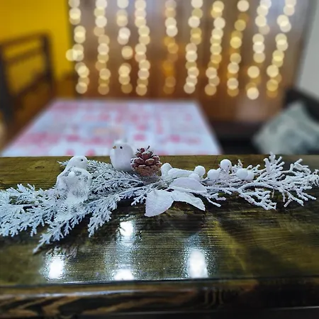 Apartment карпатський куточок *