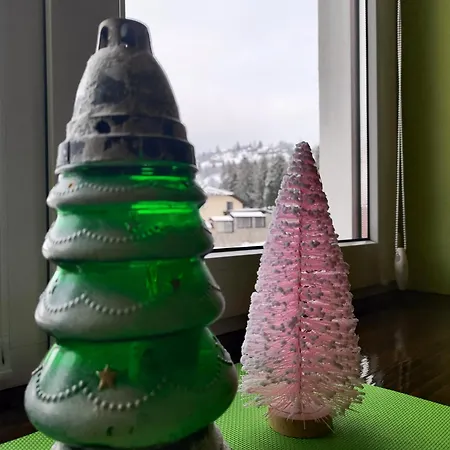 Apartment карпатський куточок *