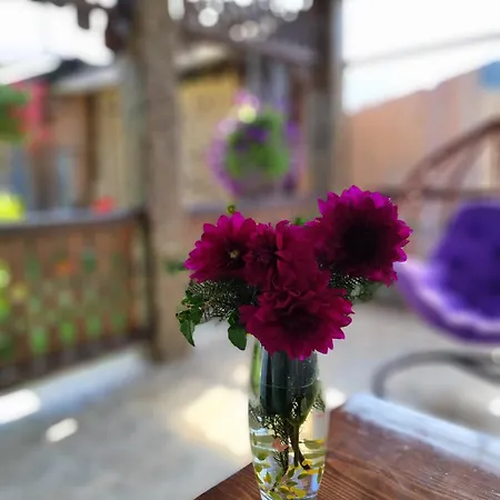 Apartamento карпатський куточок *