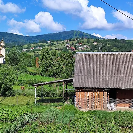 карпатський куточок Апартаменты
