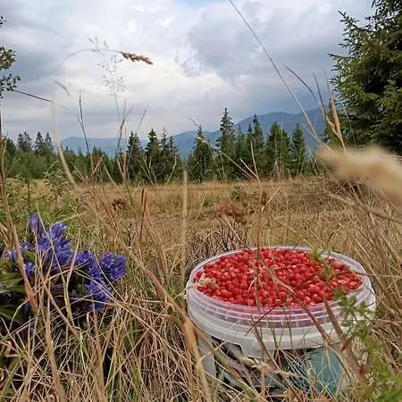 карпатський куточок *