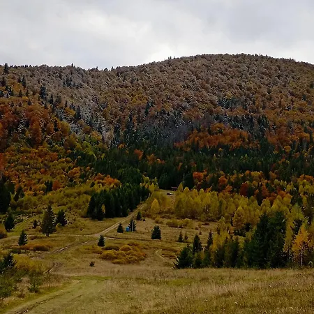 карпатський куточок * Славське