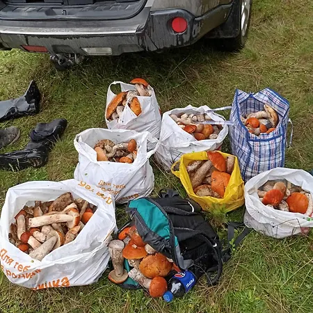 карпатський куточок Апартаменти
