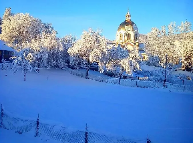 карпатський куточок Daire Slavske